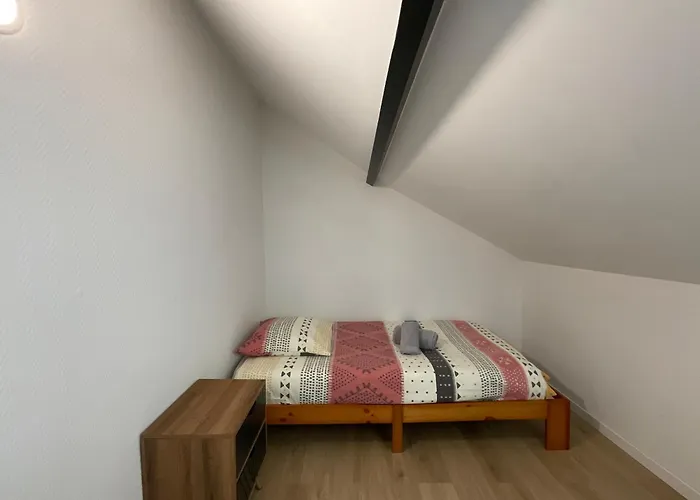 Eichthal Rdc - Duplex - Proche Gare - 3 Pers Apartment Le Mans